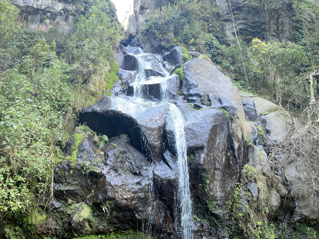 ‎Imágenes generales 4:3.‎006