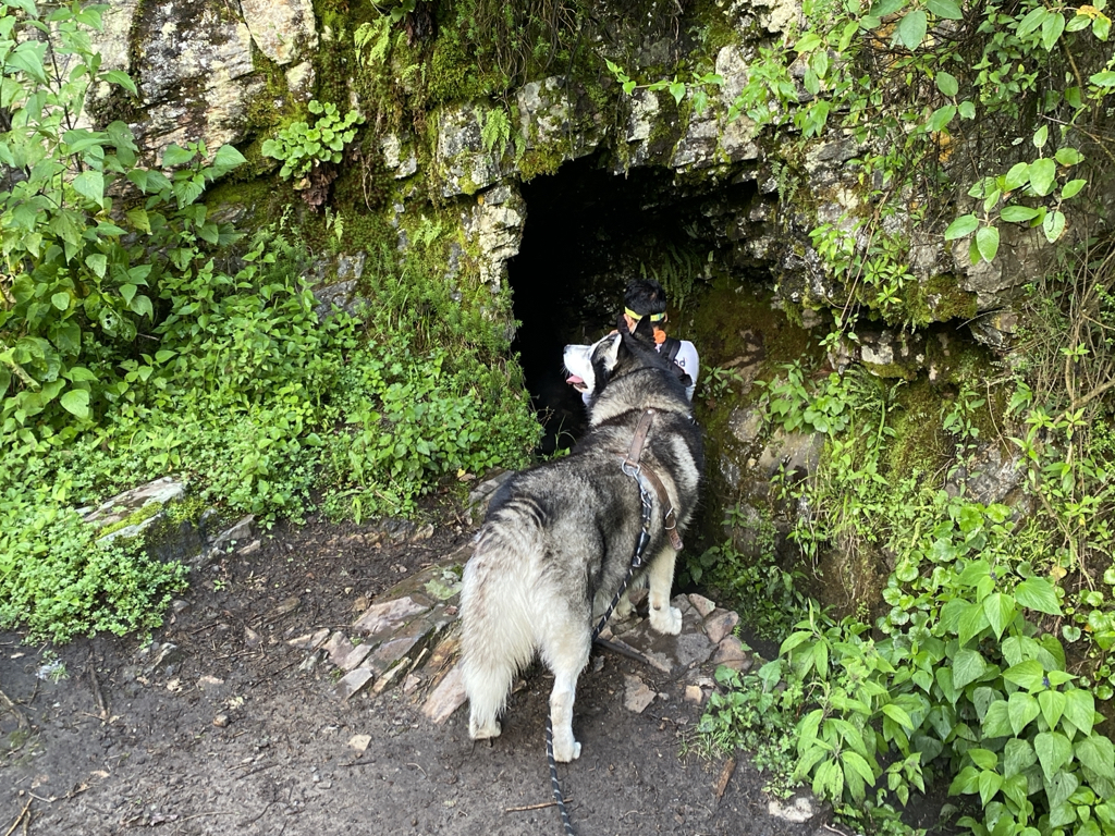 ‎Imágenes generales 4:3.‎008