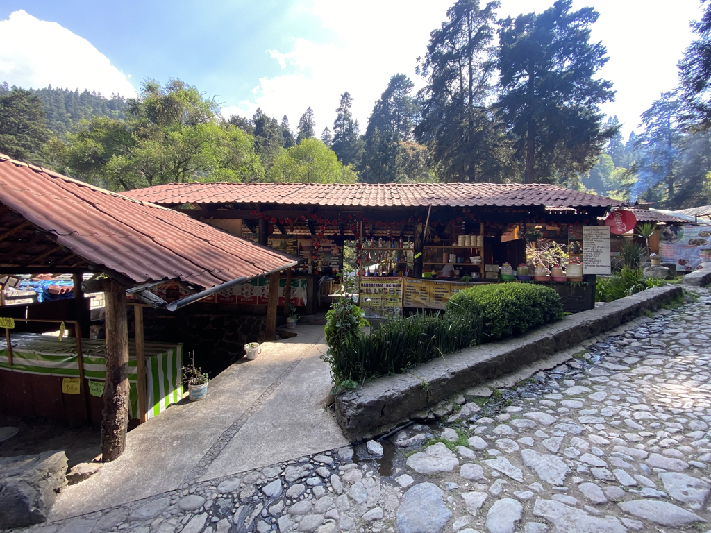 ‎Imágenes generales 4:3.‎009